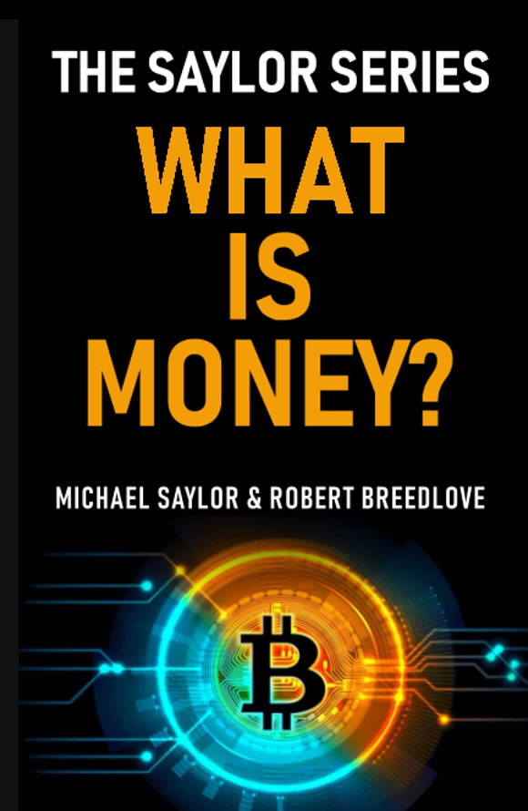 什么是货币？塞勒系列对话录